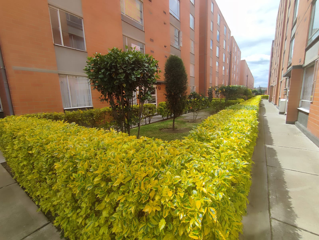 Apartamento en Venta en el Conjunto La Ilusión 1