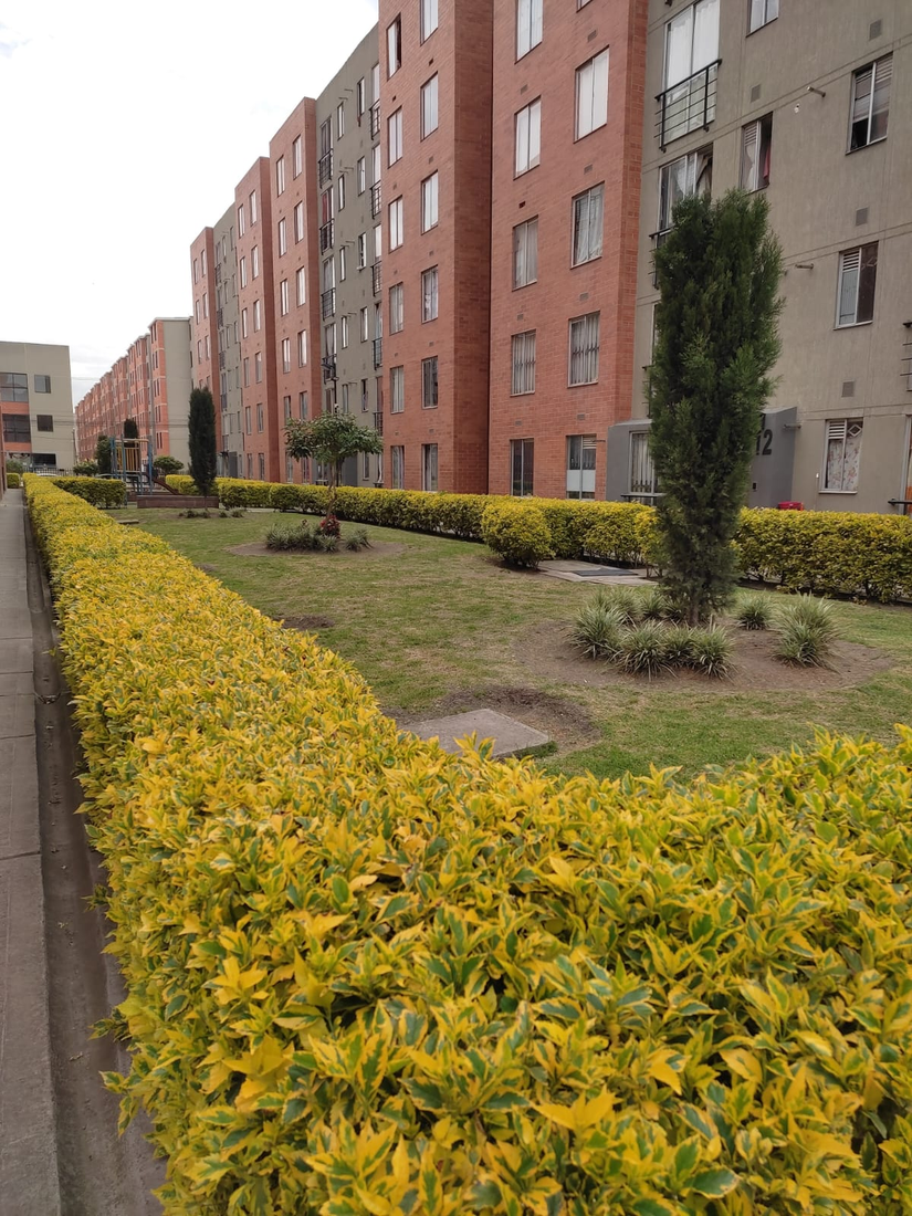Apartamento en Venta en el Conjunto Parque de Bogotá Sauce