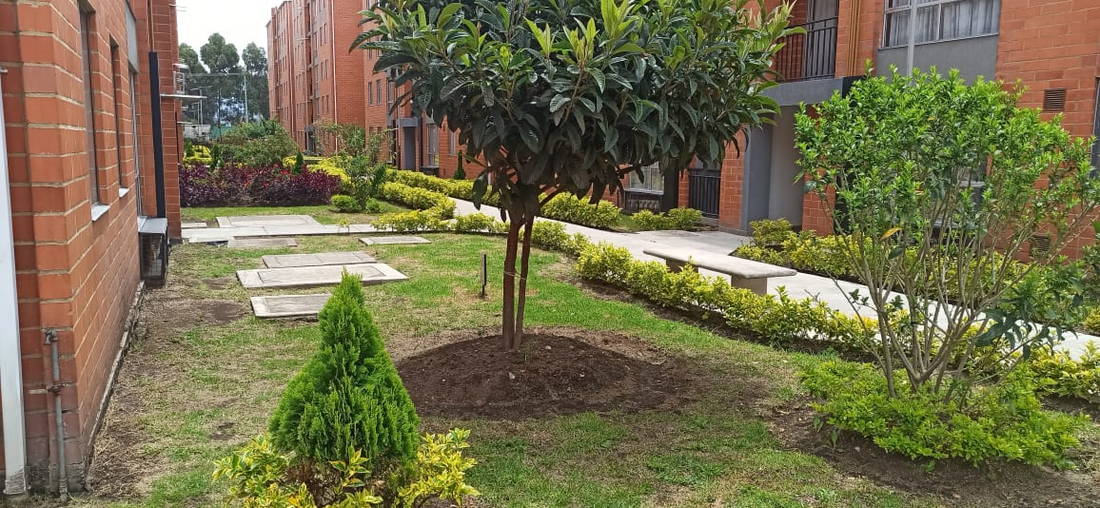 Apartamento en Venta en el Conjunto Olmo
