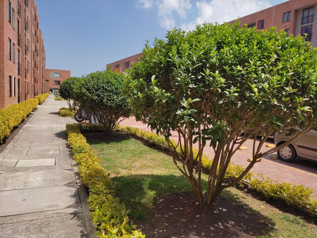 Apartamento en Venta en el Conjunto Alcalá Hacienda Madrid