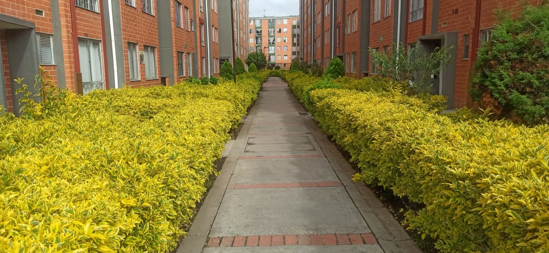 Apartamento en Venta en el Conjunto Veronica